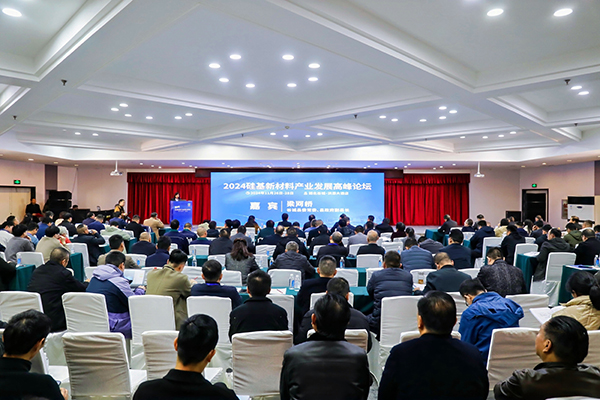 頂立科技參加硅基新材料高峰論壇，分享高純石英制備熱工裝備最新技術(shù) (2).jpg